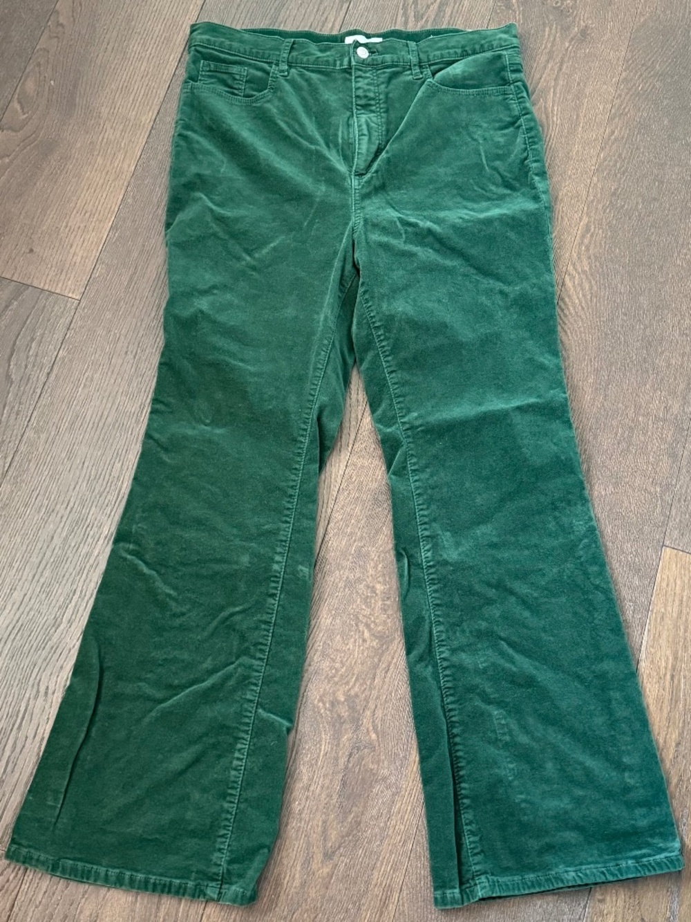 Ann Taylor LOFT Modern Boot Corduroy Pants Green Size 16